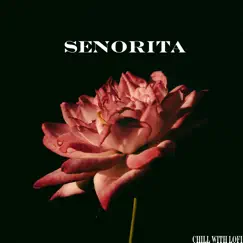 Senorita Song Lyrics
