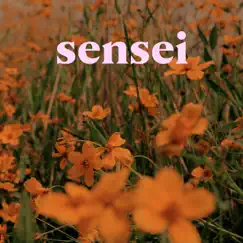 Sensei - Single by Caloncho album reviews, ratings, credits