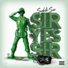 Sir Yes Sir album lyrics, reviews, download