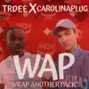 WAP (Wrap Another Pack) [feat. Trdee] - Single album lyrics, reviews, download