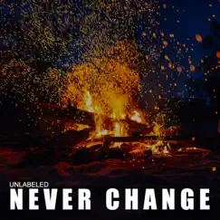 Never Change (feat. Clay Sims & Jessica Ford) - Single by Travis Ford album reviews, ratings, credits
