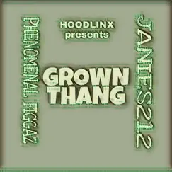 Grown thang (feat. Janies 212) - Single by Phenomenal Figgaz album reviews, ratings, credits