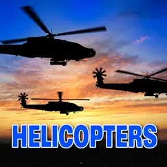 Twin Huey Helicopter Idle and Take Off Into Distance Helicopter Reload Song Lyrics