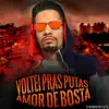 Voltei Pras Putas Vs Amor De Bosta song lyrics