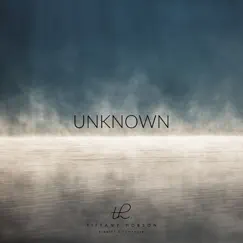 Unknown - Single by Tiffany Hobson album reviews, ratings, credits