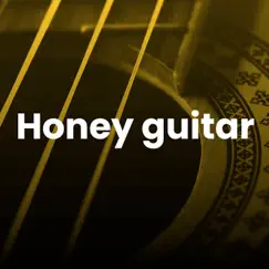 Honey Guitar - Single by Zbot album reviews, ratings, credits