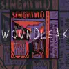 Woundleak - EP album lyrics, reviews, download