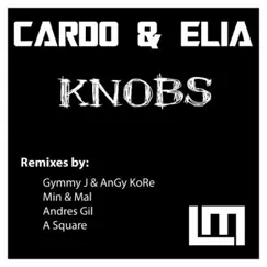 Knobs (Gymmy J & AnGy KoRe Remix) Song Lyrics