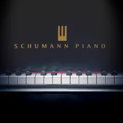 Schumann Piano by Axel Gillison album reviews, ratings, credits