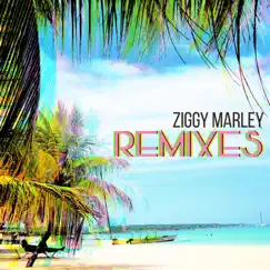 Remixes - Single by Ziggy Marley album reviews, ratings, credits