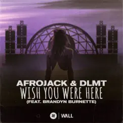 Wish You Were Here (feat. Brandyn Burnette) - Single by Afrojack & DLMT album reviews, ratings, credits