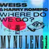 Where Do We Go? (My Nu Leng Remix) - Single album lyrics, reviews, download