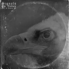The Vulture (All It Takes II) - Single by SIGNALS album reviews, ratings, credits