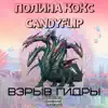 Взрыв гидры (feat. Полина Кокс) - Single album lyrics, reviews, download