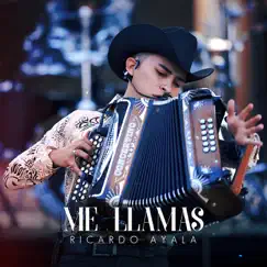 Me Llamas - Single by Ricardo Ayala album reviews, ratings, credits