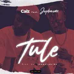Tule (feat. Jaydreamz & Davido) - Single by Calz_cc album reviews, ratings, credits