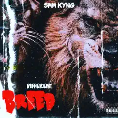 Different Breed - Single by SMM Kyng album reviews, ratings, credits