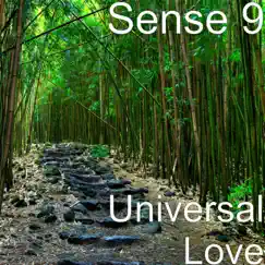 Universal Love - Single by Sense 9 album reviews, ratings, credits