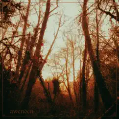 Golden Hour by Awenden album reviews, ratings, credits
