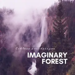 Imaginary Forest - Single by Endless Soundscapes album reviews, ratings, credits