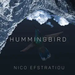 Hummingbird Song Lyrics