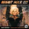 Rabbit Hole - Single album lyrics, reviews, download