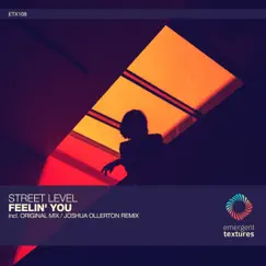 Feelin' You (Joshua Ollerton Remix) Song Lyrics