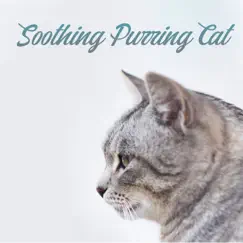 Soothing Purring Cat: Perfect Sounds for Sleep, Relaxation and Stress Relief by Sonia White album reviews, ratings, credits