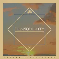 Tranquility - Single by Seehra Brothers album reviews, ratings, credits