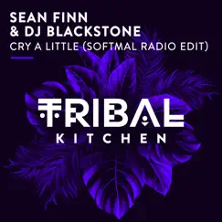 Cry a Little (Softmal Radio Edit) - Single by Sean Finn & DJ Blackstone album reviews, ratings, credits