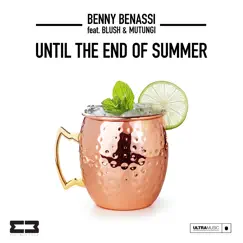 Until the End of Summer (feat. Blush & Mutungi) - Single by Benny Benassi album reviews, ratings, credits