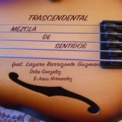Trascendental (feat. Lazaro Barrizonte Guzman, Delia Gonzalez & Jesús Hernandez) - Single by Mezcla de Sentidos album reviews, ratings, credits