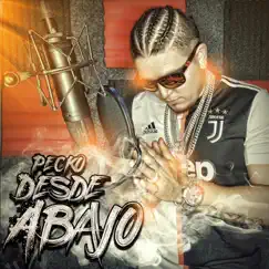 Desde Abajo - Single by Pecko album reviews, ratings, credits