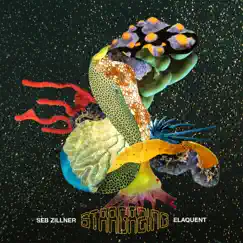 Stargazing - Single by Seb Zillner & Elaquent album reviews, ratings, credits