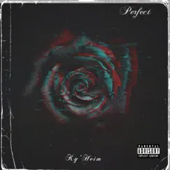Perfect - Single by Ky’Heim album reviews, ratings, credits
