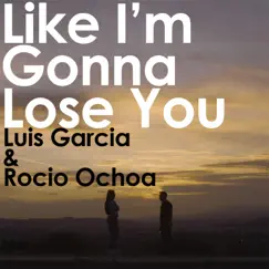 Like I'm Gonna Lose You (feat. Rocio Ochoa) Song Lyrics