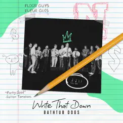 Write That Down by Bathtub Dogs album reviews, ratings, credits