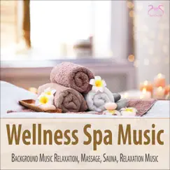 Relaxation Melody for Wellness & Spa Song Lyrics