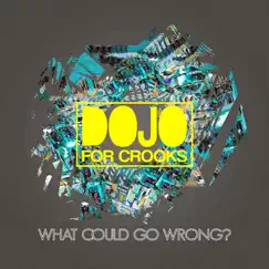 What Could Go Wrong? by Dojo for Crooks album reviews, ratings, credits