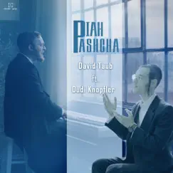 Piah Pascha (feat. Dudi Knopfler) - Single by David Taub album reviews, ratings, credits