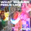 What Summer Feels Like - Single album lyrics, reviews, download