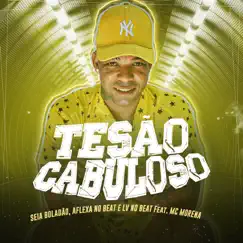 Tesão Cabuloso (feat. Mc Morena) [Brega Funk] - Single by Mc Seia Boladão, Aflexa no Beat & LV no Beat album reviews, ratings, credits