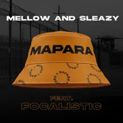 Mapara (feat. Focalistic) Song Lyrics
