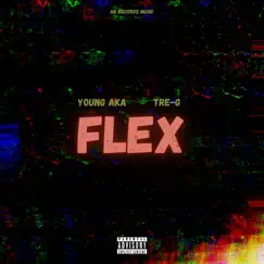 Flex - Single by Young AKA & Tre-G album reviews, ratings, credits