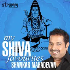 Mahamrityunjay Mantra Song Lyrics
