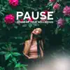 Pause - Sense of True Wellbeing: Most Relaxing & Soothing New Age Music album lyrics, reviews, download