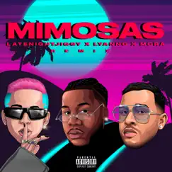 Mimosas (Remix) Song Lyrics