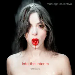 Into the Interim (Fused Remix) Song Lyrics