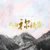 我向祢禱告 (feat. Brenda Li) - Single album lyrics, reviews, download