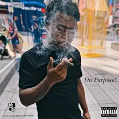 On Purpose ! - EP by K2SG Pmoe album reviews, ratings, credits